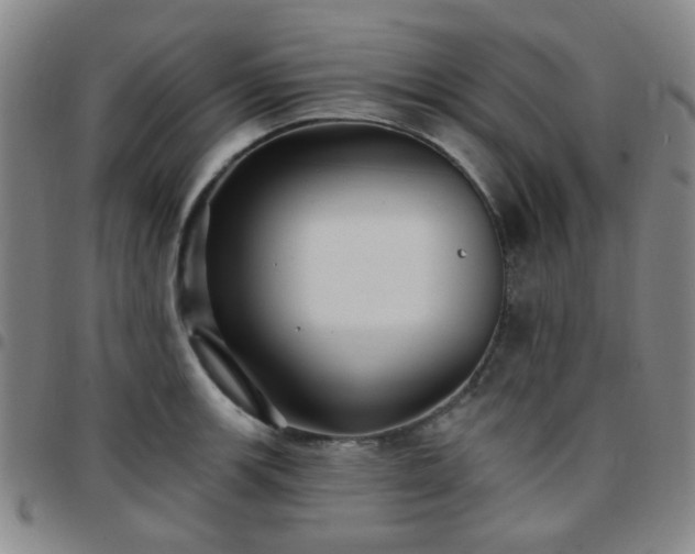 X0000097771139200803141739