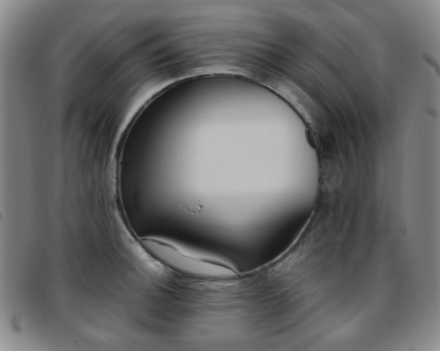 X0000097771140200803141739