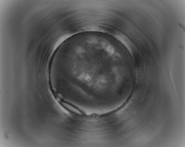 X0000097771141200803141739