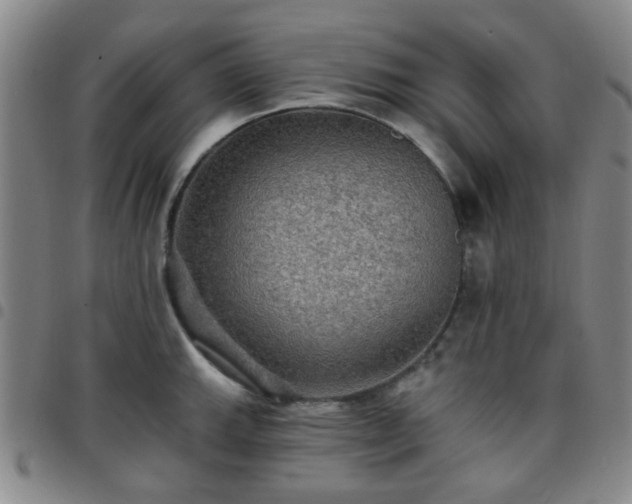X0000097771143200803141739