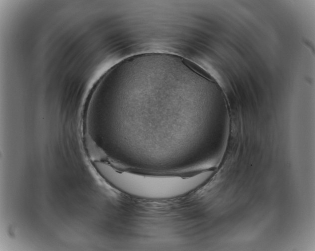 X0000097771144200803141739