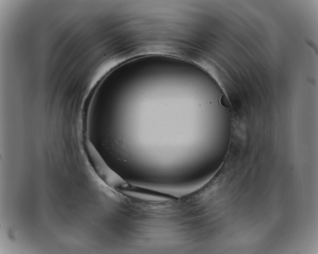 X0000097771147200803141739