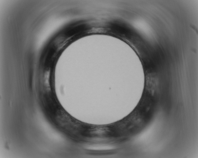 X0000097771150200803141739