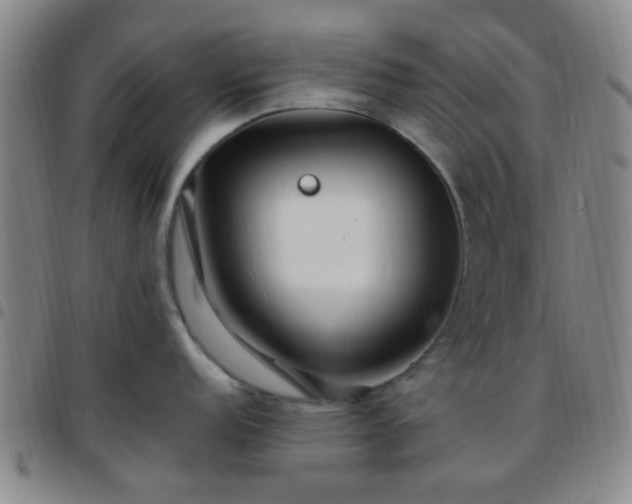 X0000097771152200803141740