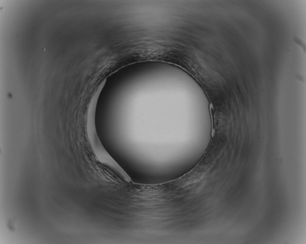 X0000097771153200803141739