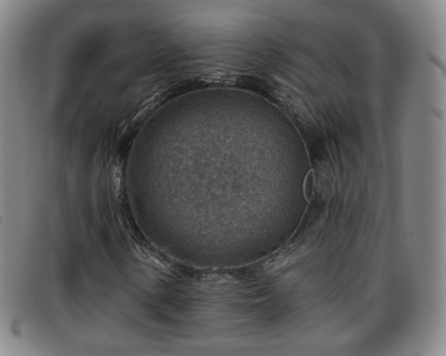 X0000097771154200803141739