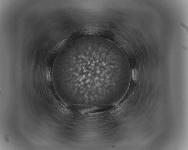 X0000097771155200803141739