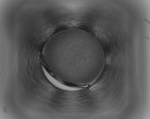 X0000097771156200803141739