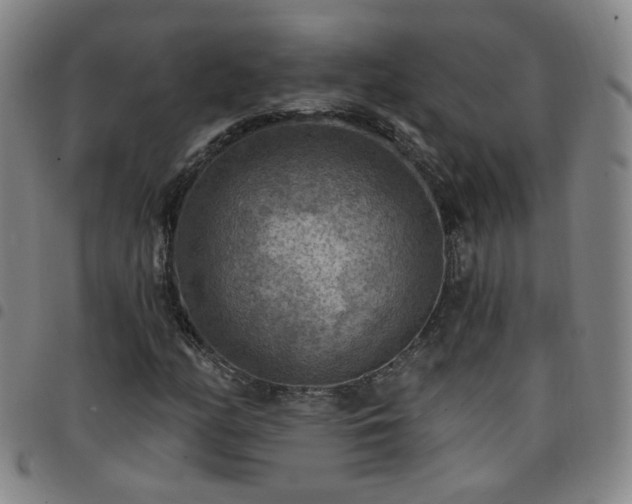 X0000097771158200803141739