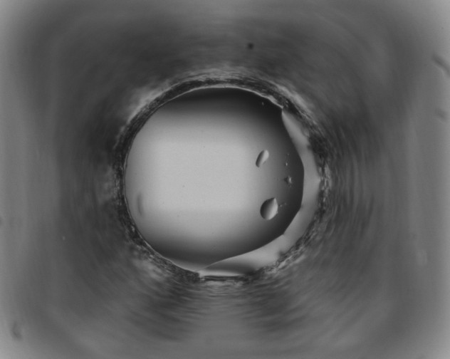 X0000097771160200803141739