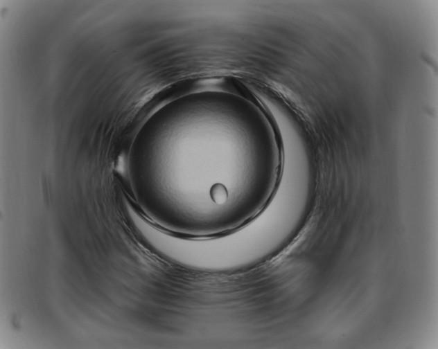X0000097771161200803141739
