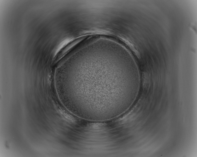 X0000097771163200803141739