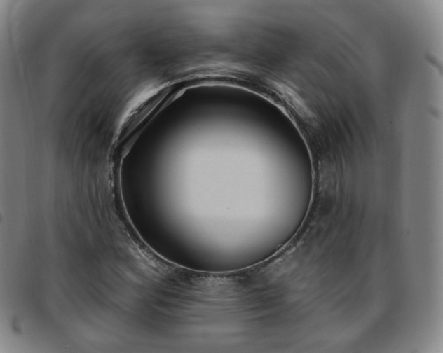 X0000097771164200803141739