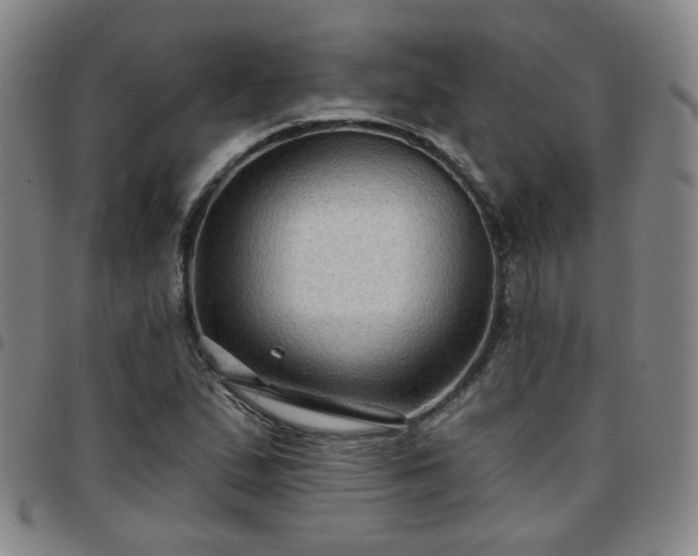 X0000097771167200803141739
