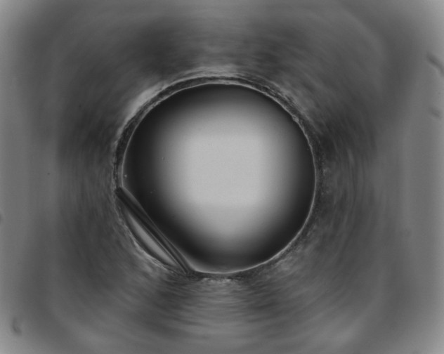 X0000097771168200803141739