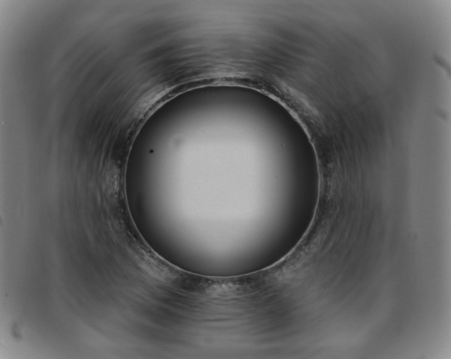 X0000097771169200803141739