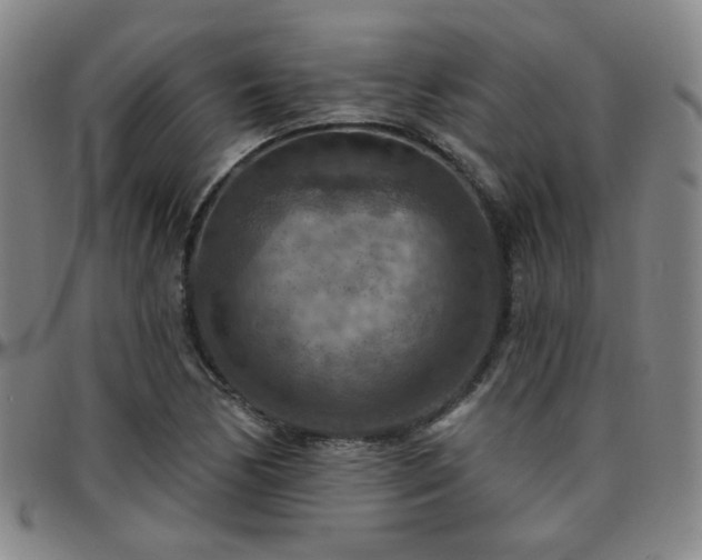 X0000097771170200803141739