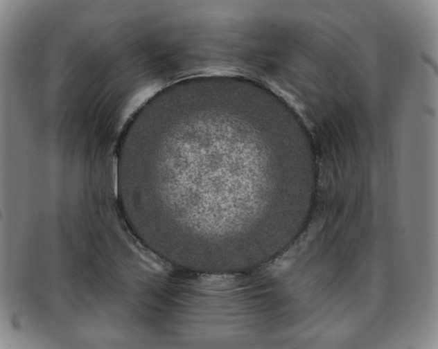 X0000097771171200803141739