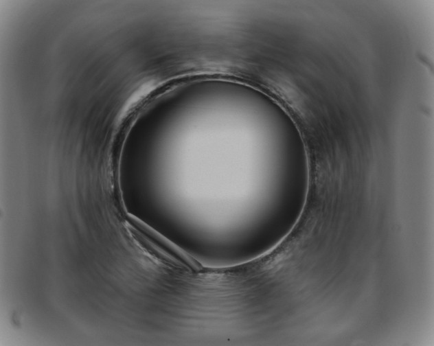 X0000097771172200803141739