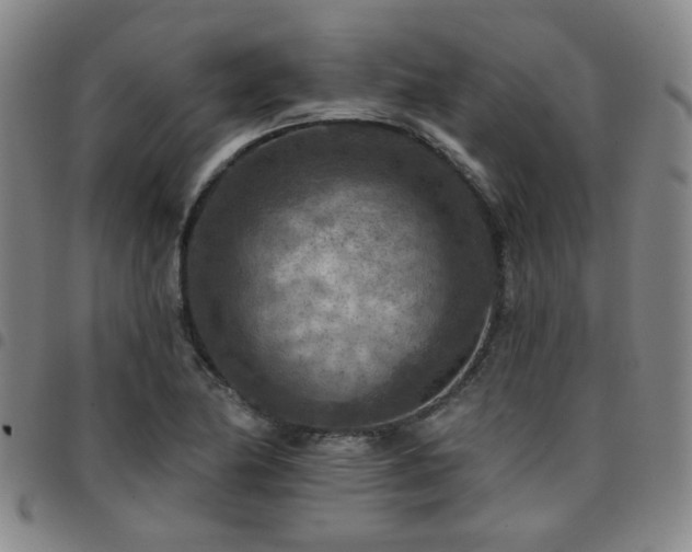 X0000097771174200803141739