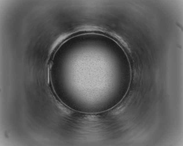 X0000097771175200803141739