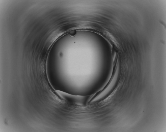 X0000097771177200803141739