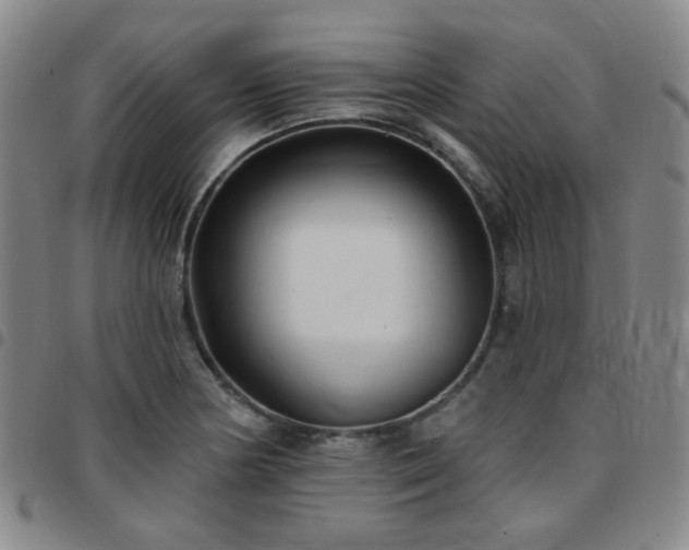 X0000097771178200803141739