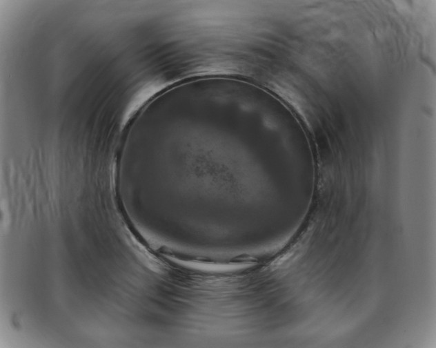 X0000097771179200803141739