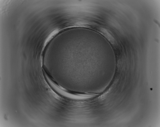 X0000097771180200803141738