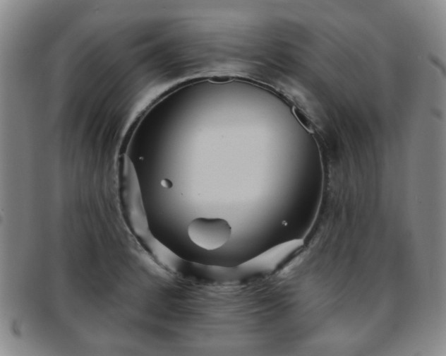X0000097771184200803141738