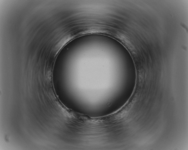 X0000097771185200803141738