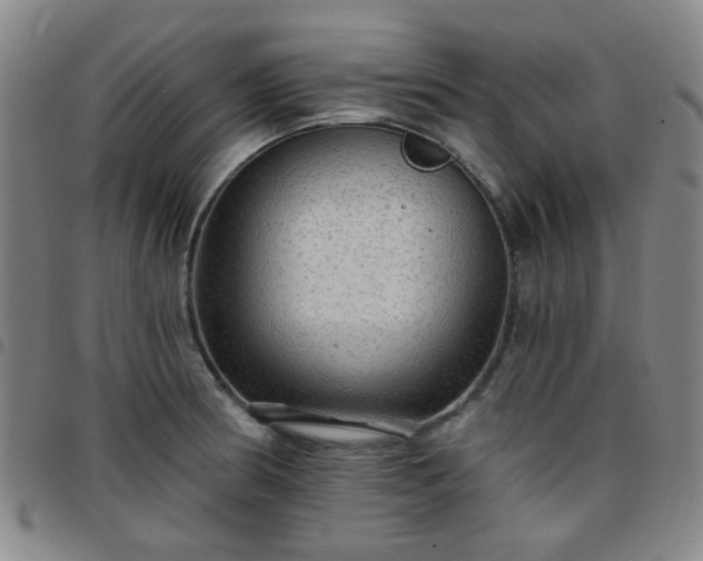 X0000097771186200803141738