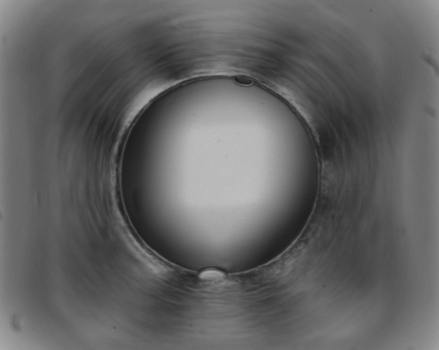 X0000097771187200803141738