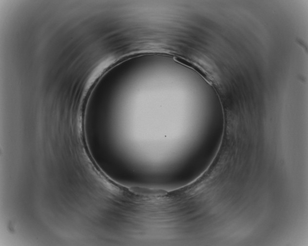 X0000097771188200803141738