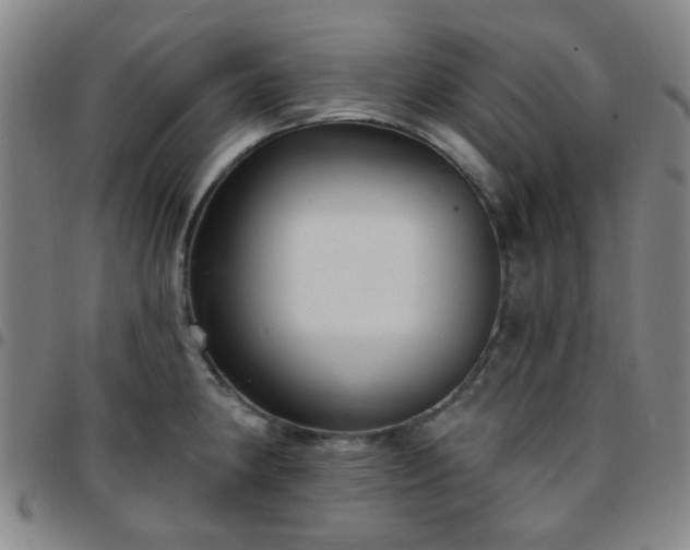 X0000097771190200803141738