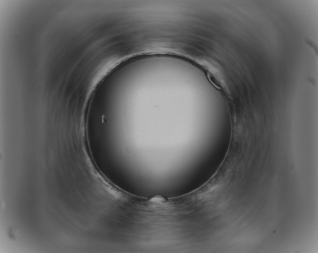 X0000097771191200803141738