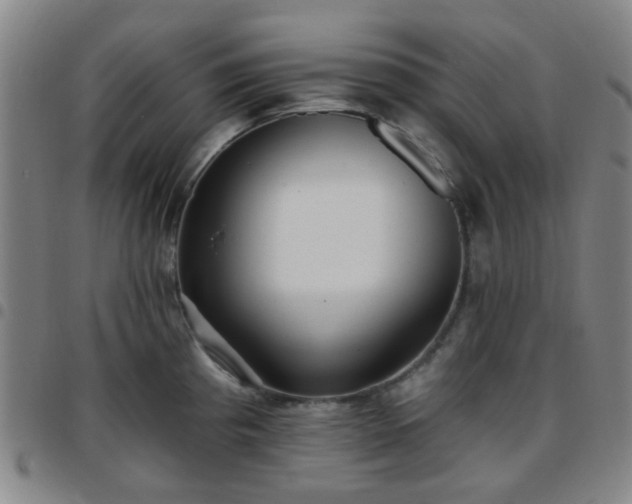 X0000097771193200803141738