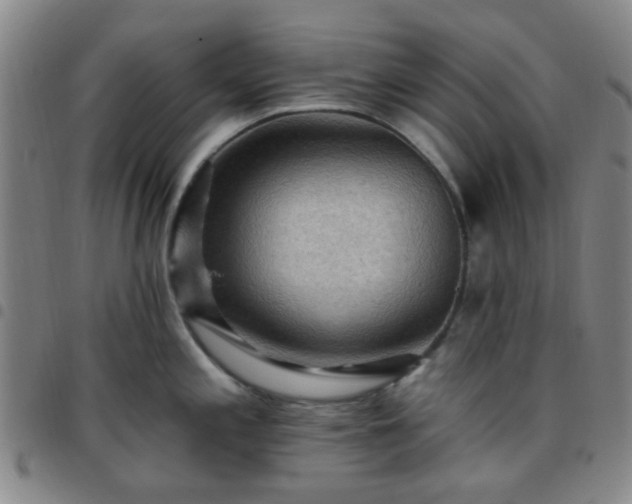 X0000097771197200803141738