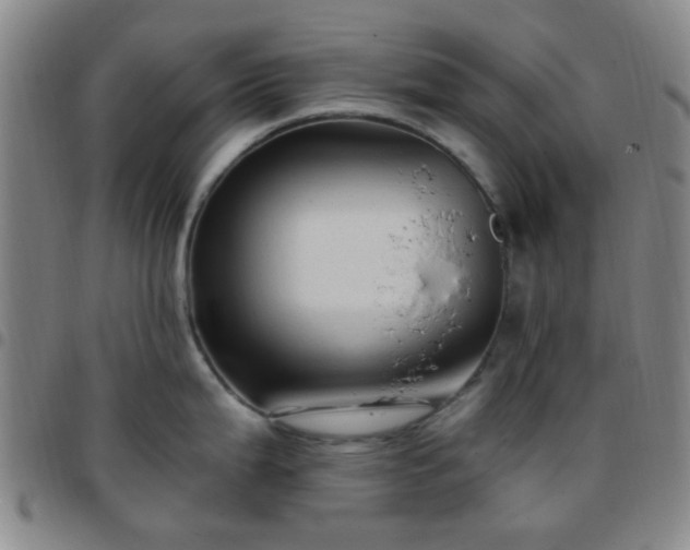 X0000097771199200803141738