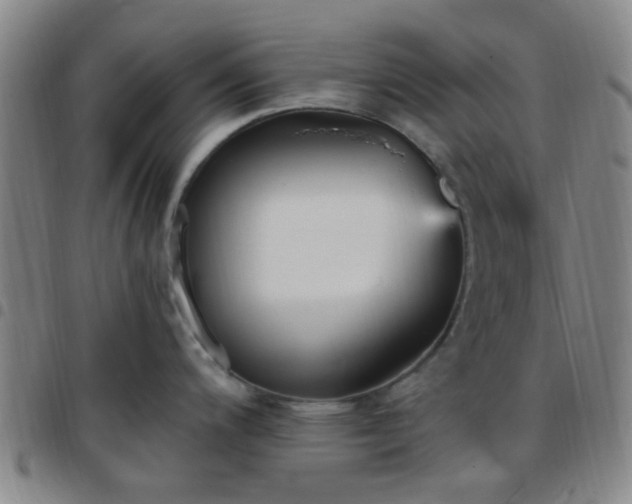 X0000097771200200803141738