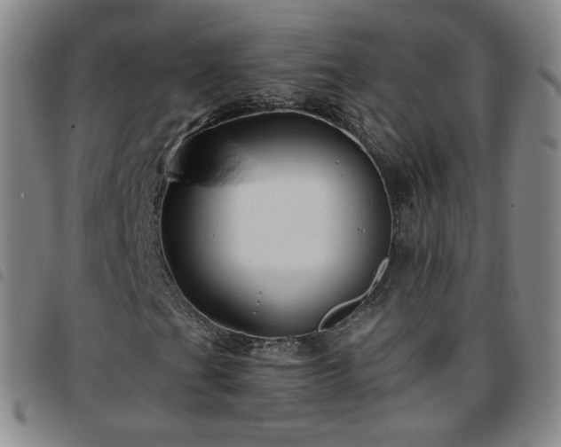 X0000097771201200803141737