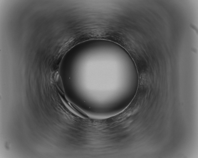 X0000097771202200803141737