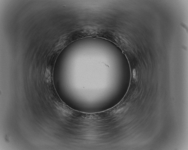 X0000097771203200803141737