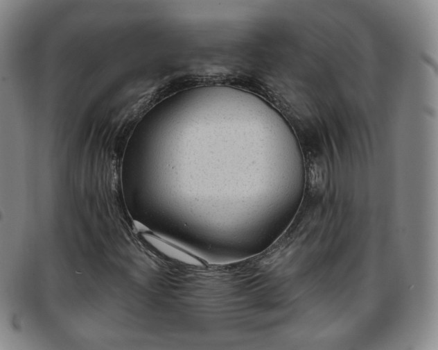 X0000097771204200803141737