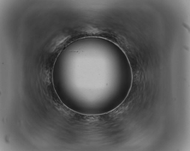 X0000097771205200803141737