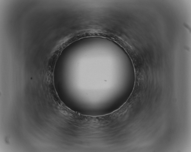 X0000097771207200803141737