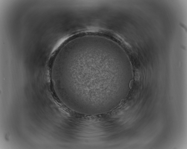 X0000097771208200803141737