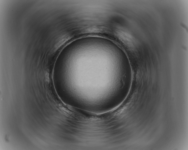X0000097771209200803141738