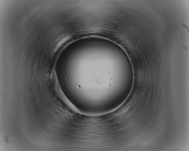 X0000097771210200803141738