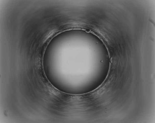 X0000097771211200803141738